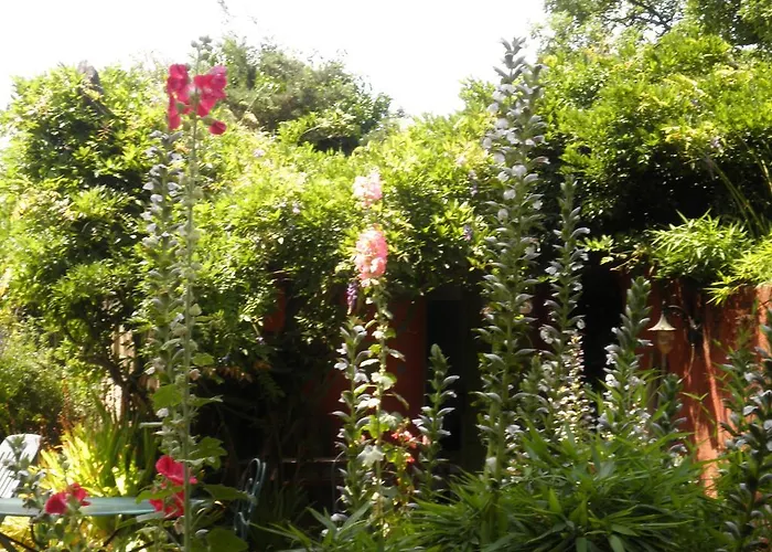 Guest house La Meissonniere *